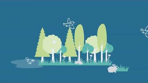 I Will Create A Custom 2d Animation Or Cartoon Explainer Video - order 2d animated explainer video