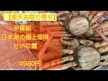 【楽天お取り寄せ】越前冬の極上珍味✨甲羅組さんのせいこ蟹到着