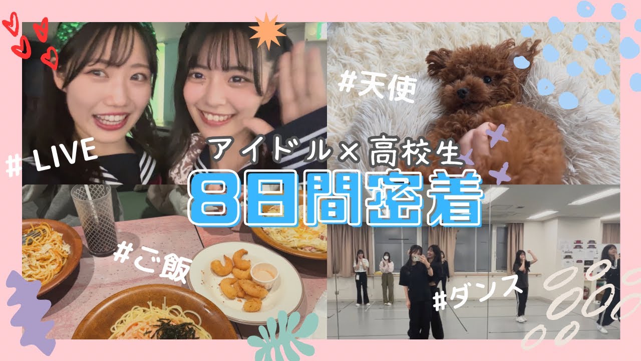 [Видеоблог] 8 дней студенческих кумиров / Рождественский концерт NMB48