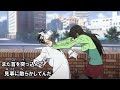 Durarara Oening 5 FULL (Steppin Out) Eng Romanji Subbed