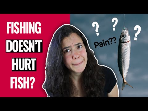 May sakit kaya ang isda?? Narito ang sinasabi sa atin ng SCIENCE...