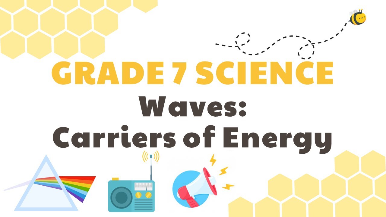 Waves: Carriers of Energy | Grade 7 Science DepEd MELC Quarter 3 Module 3