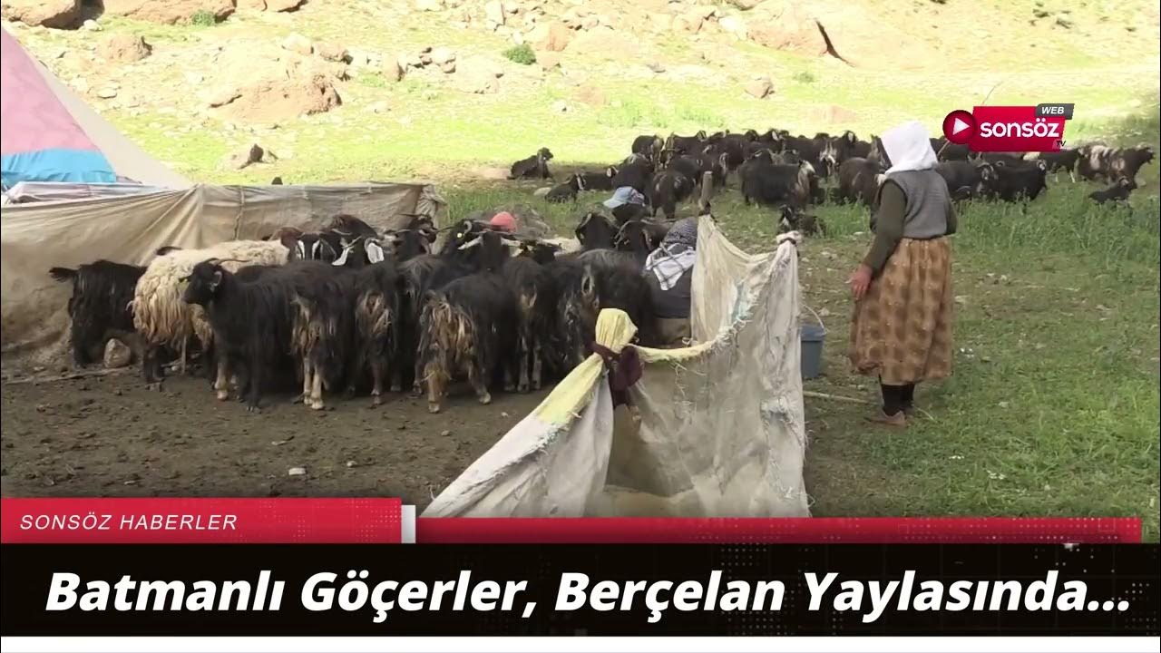 Batmanlı Göçerler, Berçelan Yaylasında…