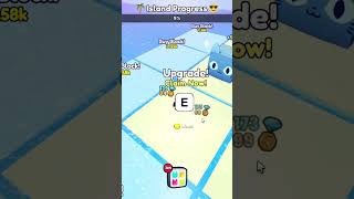 Every 1000 Views Means A Huge Pet Giveaway