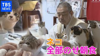 「ネコ全部のせ朝食」に新たな家族が！！