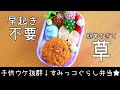 【キャラ弁】キャラ弁苦手ならこれ一択！すみっコぐらし弁当