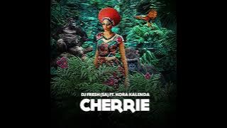 DJ Fresh SA - Cherrie (Aliphatik's Afro Mix Instrumental) || Afro House Source | #afrohouse