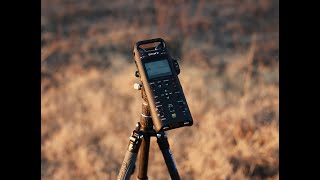 모페즈 타고 떠나는 필드 레코딩 - Nature Sound Field Recording ASMR | 코요의 시선