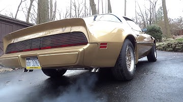 1979 Trans Am Cold Start