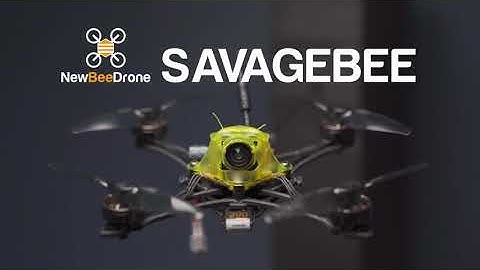 NewBeeDrone SavageBee