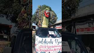 Gunungan Sedekah Bumi Mode King Cobra shorts karnaval