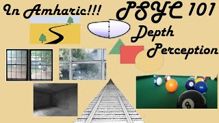 Psychology - Depth Perception | Amharic version | Examples