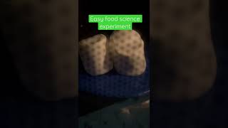 Marshmallow Science Experiment