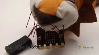 BBC micro:bit  - Blink Challenge 1