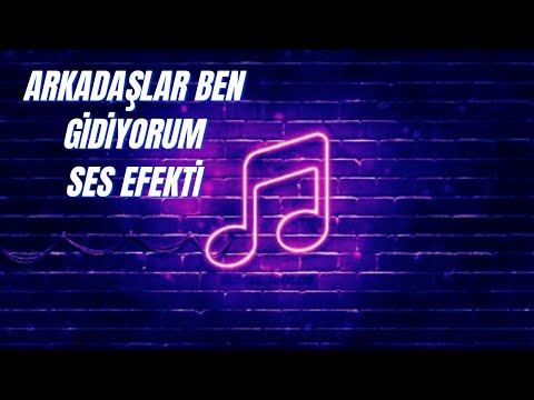 SesEfekti Arkadaşlar Ben Gidiyorum Hakkınızı Helal Edin - Ses Efekti