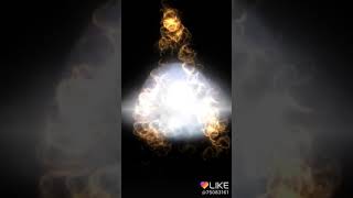 Poppy Interweb My Verson