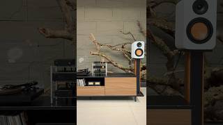 Music, art, and Fosi Audio. That’s the vibe 🎶 #hifi #audiophile #homeaudio #vinyl #fosiaudio