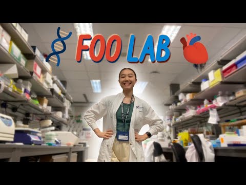My lab internship: summer '23