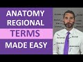 Regional terms anatomy  body parts name  nursing medical terminology made easy