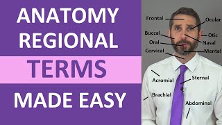 Regional Terms Anatomy  Body Parts Name | Nursing Medical Terminology Made Easy