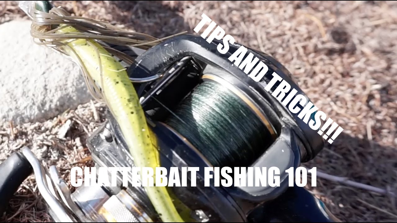 How to Fish a Chatterbait! TIPS and TRICKS you need to know!! YouTube