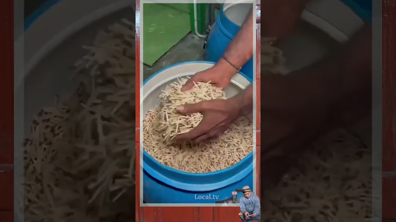 industry how to make matches from wood 