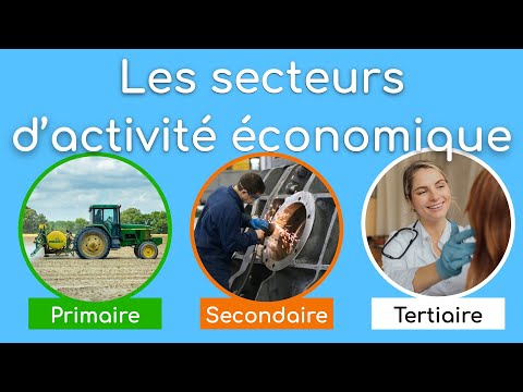 Vidéo: Le secteur tertiaire de l'économie : définition, industries et faits intéressants