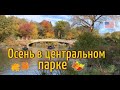 Нью Йорк. Центральный Парк. Золотая осень. Сentral park. New York