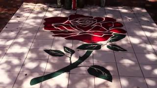 The Catholic Foundation - Honoring Monsignor Kavanagh