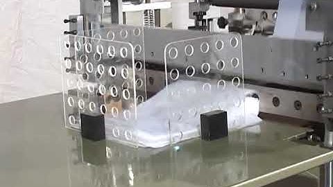 Live Demo | Bottom Sealing Cutting PE & PP Bag Making Machine (Plain Film) | STAR CONVERTING