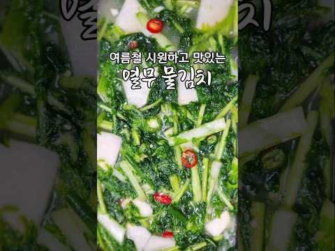여름에 담는 열무 물김치 이렇게 해보세요 정말 맛있어요