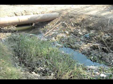 Small Scale Techniques to reduce water pollution-Egypt.wmv - YouTube