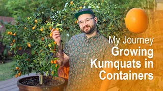 My Journey Growing Kumquat Trees in Containers