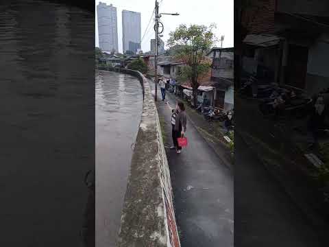 Video: Taman Terapung Xochimilco di Bandar Raya Mexico