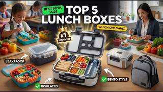Top 5 Best Lunch Boxes 2026 | Kids Bento, Insulated & Adult Lunch Boxes Reviewed