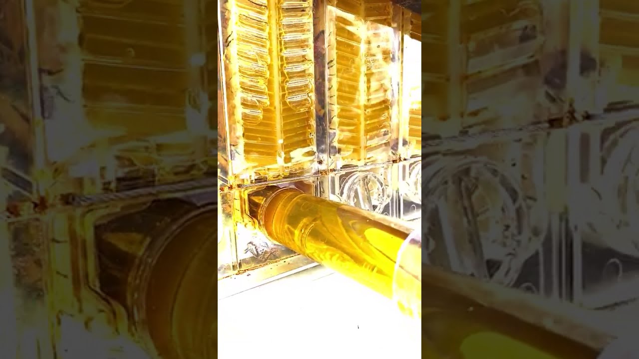 Miel lista para comer directo de tu Colmena Automática.