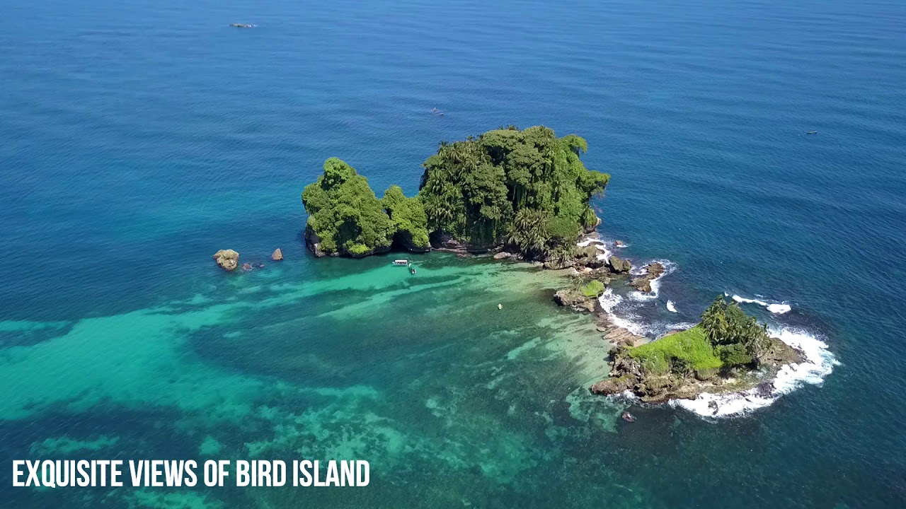 Bocas del Toro Bird Island Beach BnB for sale Drago Beach, Bocas