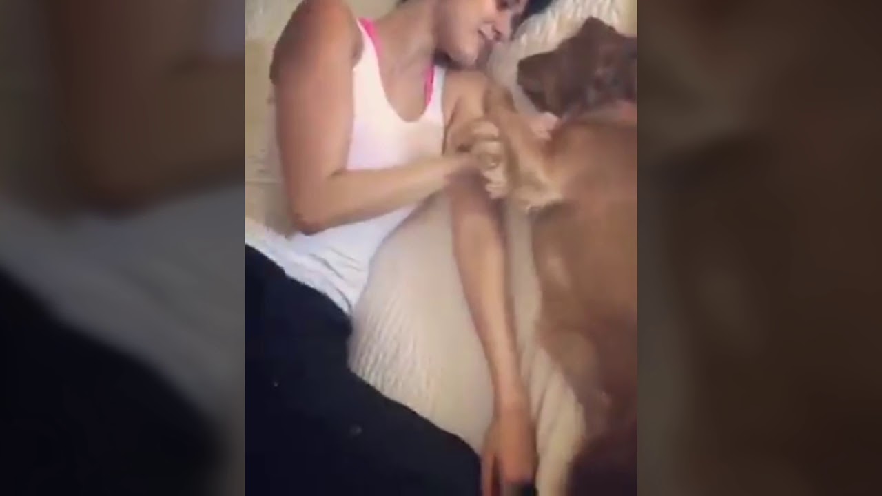 Disha Patani Singing Cadbury Song | Amazing Voice salman khan song