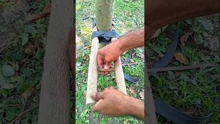 Amazing Survival Trap Build Using Simple Rope & Sticks | DIY Outdoor Trap Trick#shorts