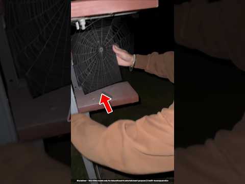 Genius technique to make money from Spiderweb 🤑 #shorts