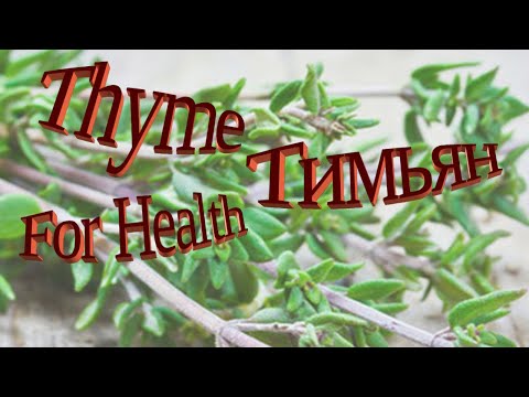 Полезная специя / Что лечит Тимьян / Thyme as Folk remedy / Useful spice / What Thyme Cures