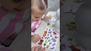 Kimler Buldu Koaloyı