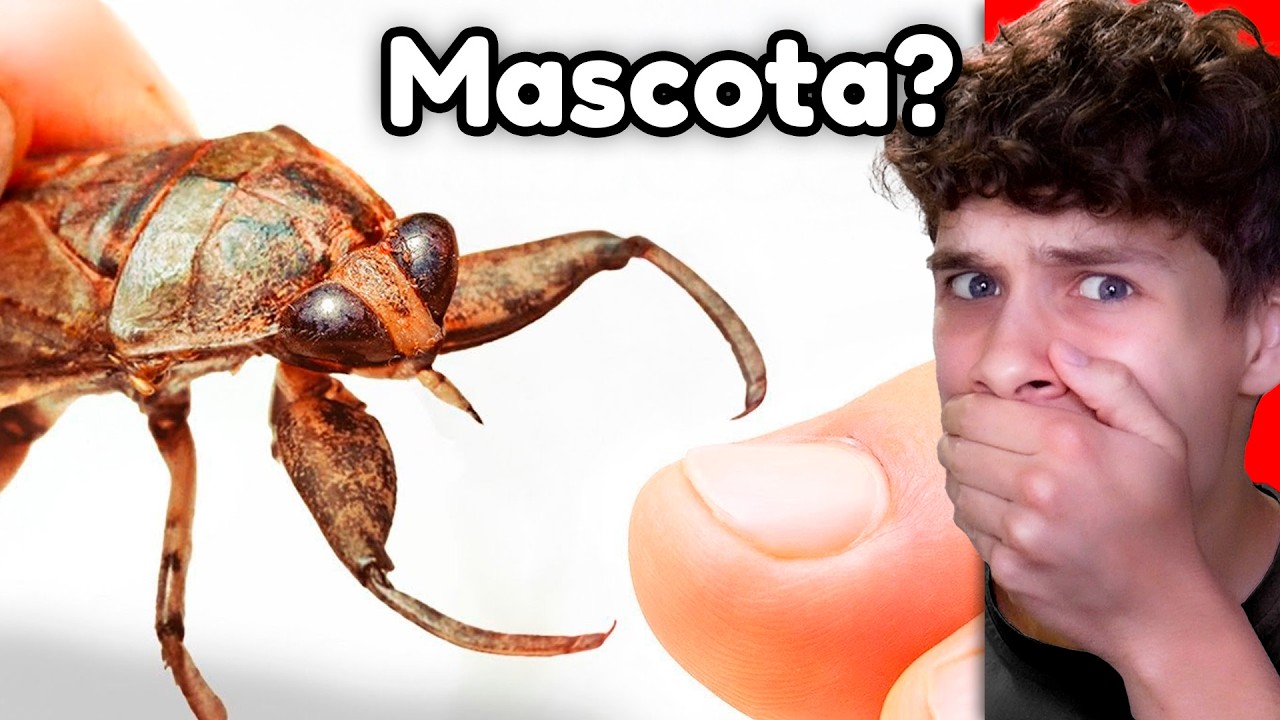 Conseguí la MASCOTA MÁS EXTRAÑA DEL MUNDO