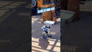BD-1 droid in Galaxy’s Edge #disneyland #galaxy sedge #bd1 #droids #starwars Net Worth