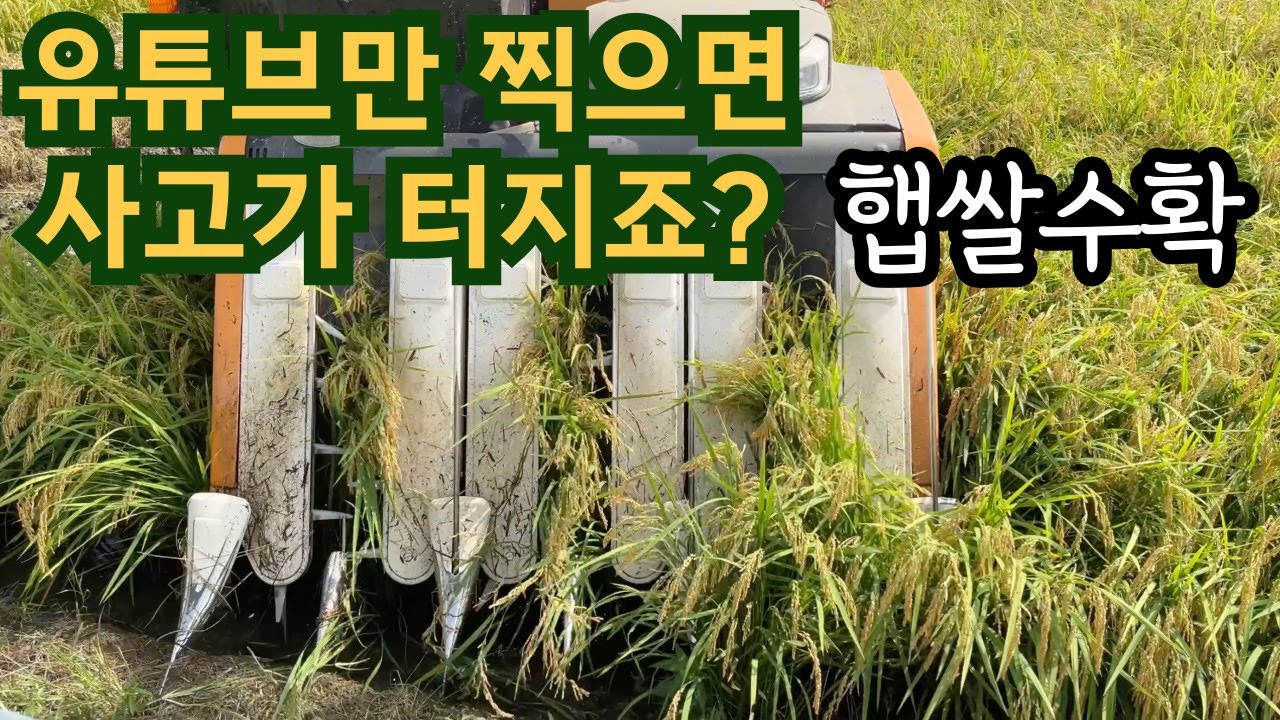 추석 햅쌀 수확중 콤바인에 문제가 생기는 경우 -충주쌀