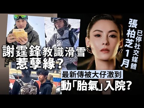 謝霆鋒教識滑雪惹孽緣？張柏芝1月已停社交媒體，最新傳被大仔激到動「胎氣」入院？