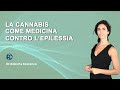 La cannabis medica contro l'epilessia