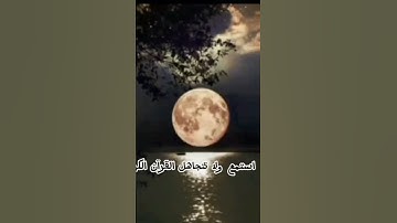 استمع القرآن الكريم ولا تهرب منه من فضلك 🙏🏻