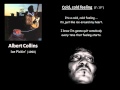 Albert Collins - Cold, Cold Feeling