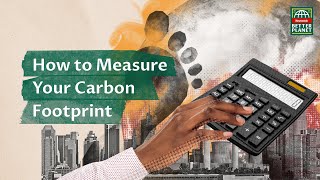 How to Calculate Your Carbon Footprint screenshot 3